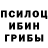 Галлюциногенные грибы прущие грибы Umarov safar1