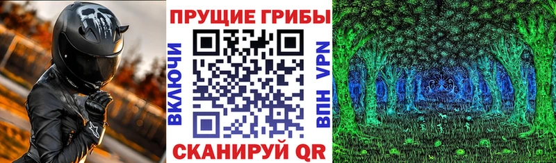 Галлюциногенные грибы Cubensis  Москва 