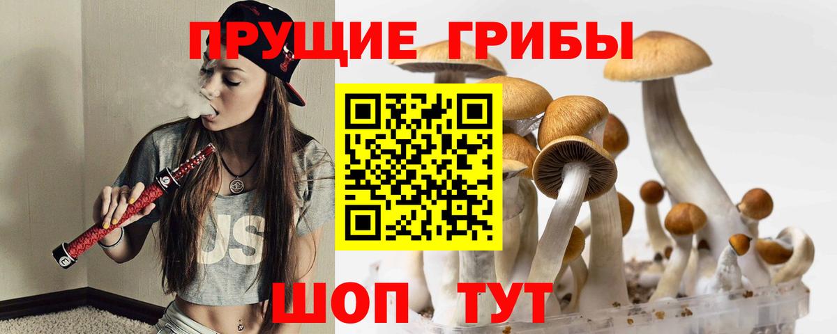 Москва  Псилоцибиновые грибы прущие грибы  Галлюциногенные грибы MAGIC MUSHROOMS  Вход с VPN 